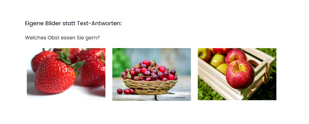 Fragetyp Auswahlfrage mit Bildern