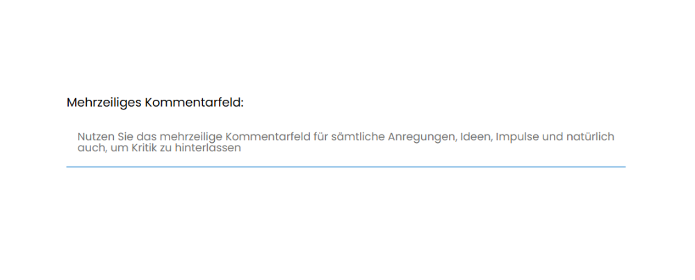 Eingabefrage mit mehrzeiligem Kommentarfeld
